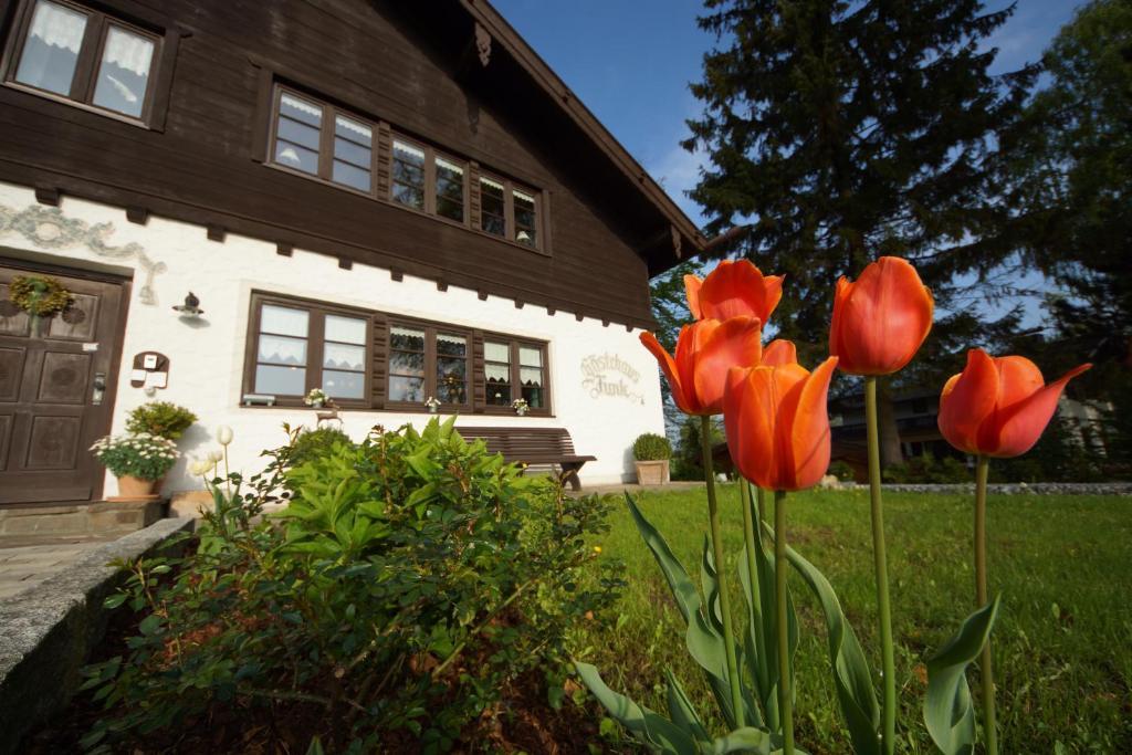 Gaestehaus Funk Bad Feilnbach Extérieur photo